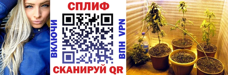 Канабис THC 21% Донецк